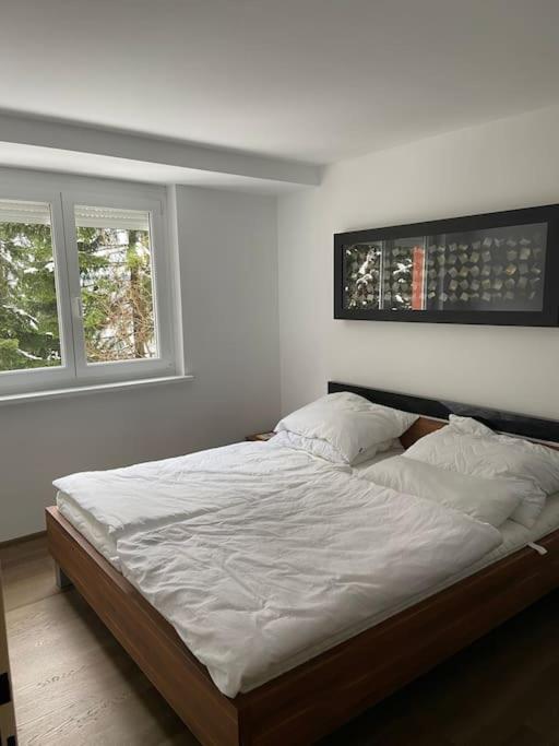 Seewohnung Mit Direktem Seezugang-Skiliftnaehe Villach Bagian luar foto